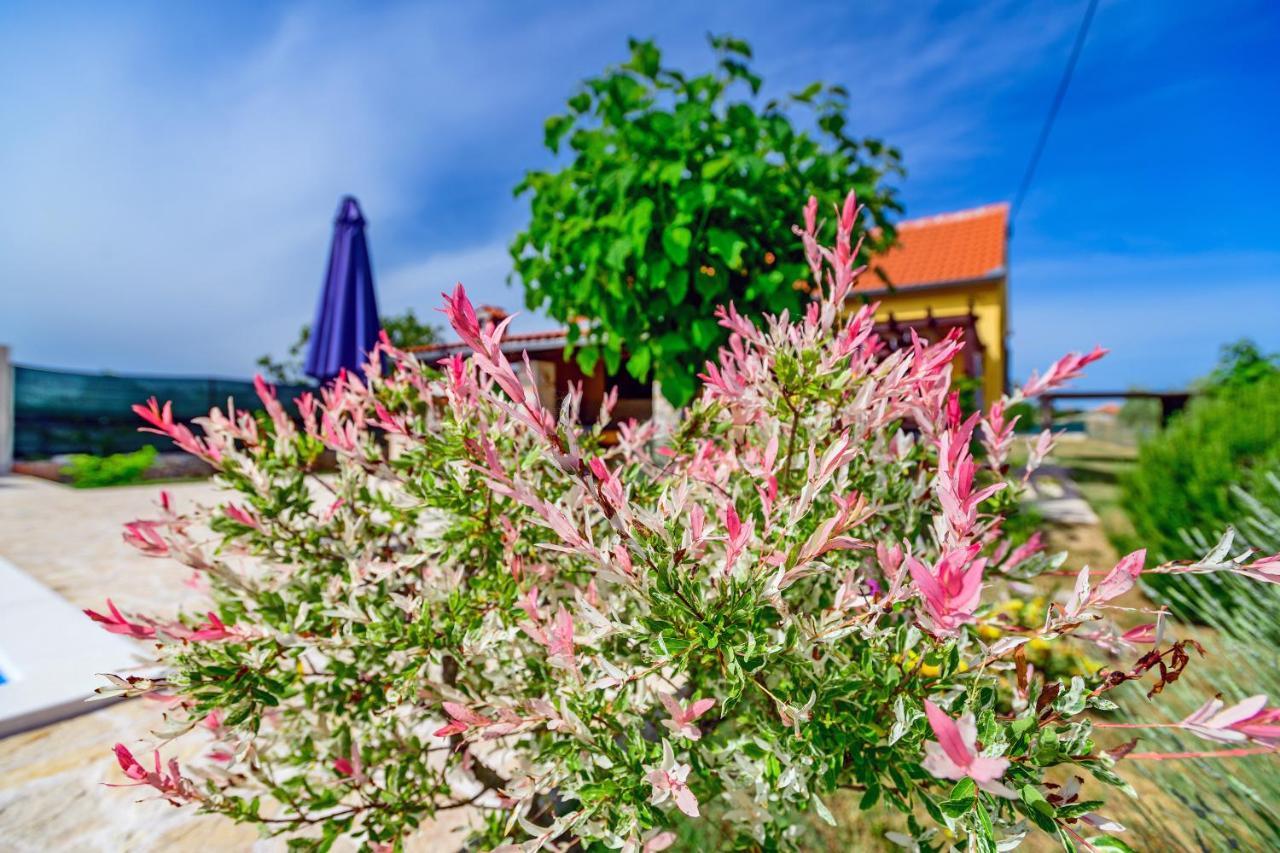 Sunny House Villa Smokovic Bagian luar foto