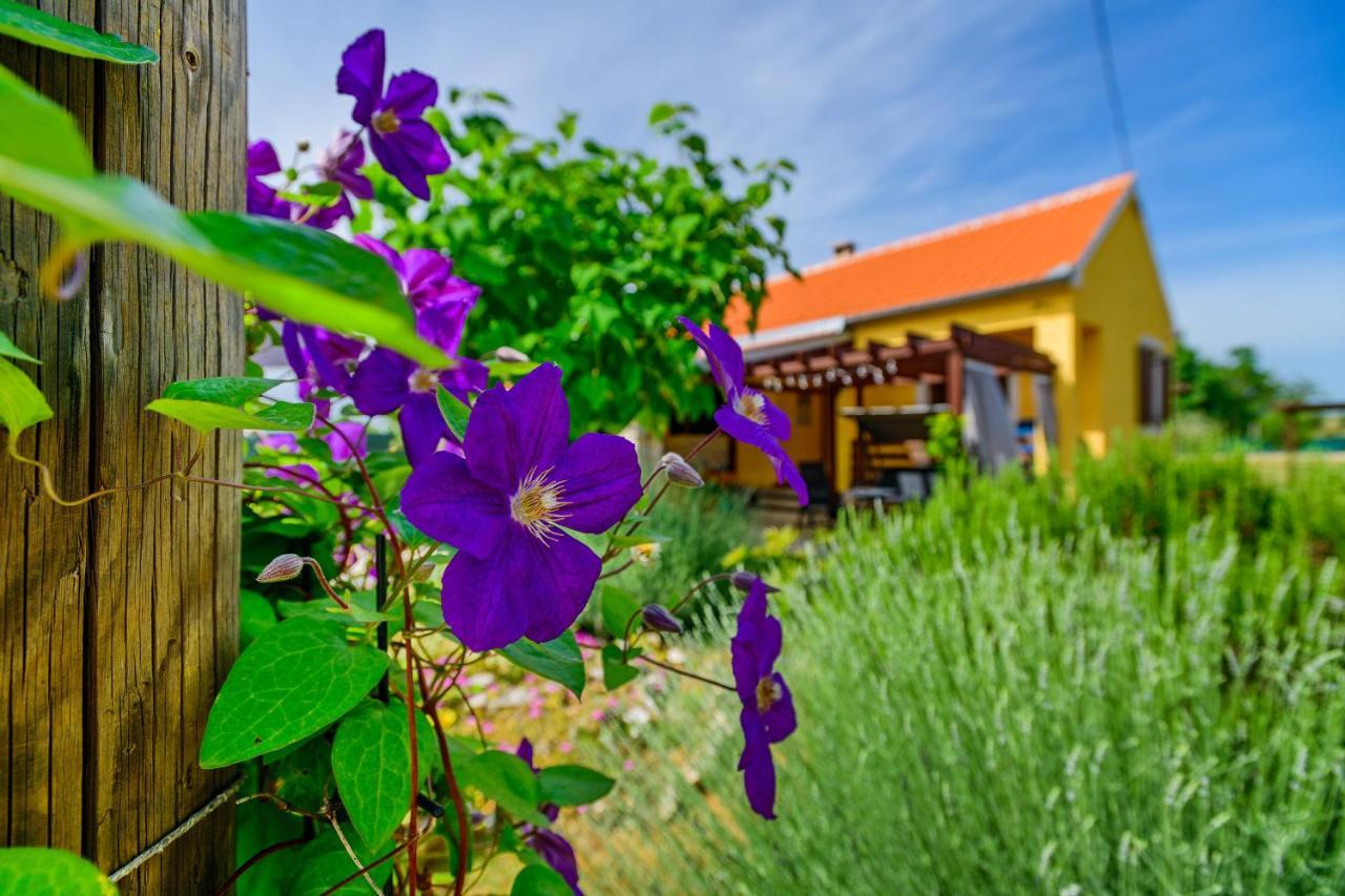 Sunny House Villa Smokovic Bagian luar foto