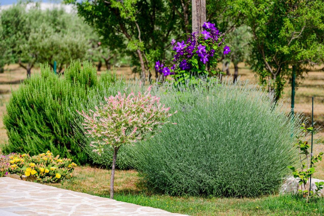 Sunny House Villa Smokovic Bagian luar foto