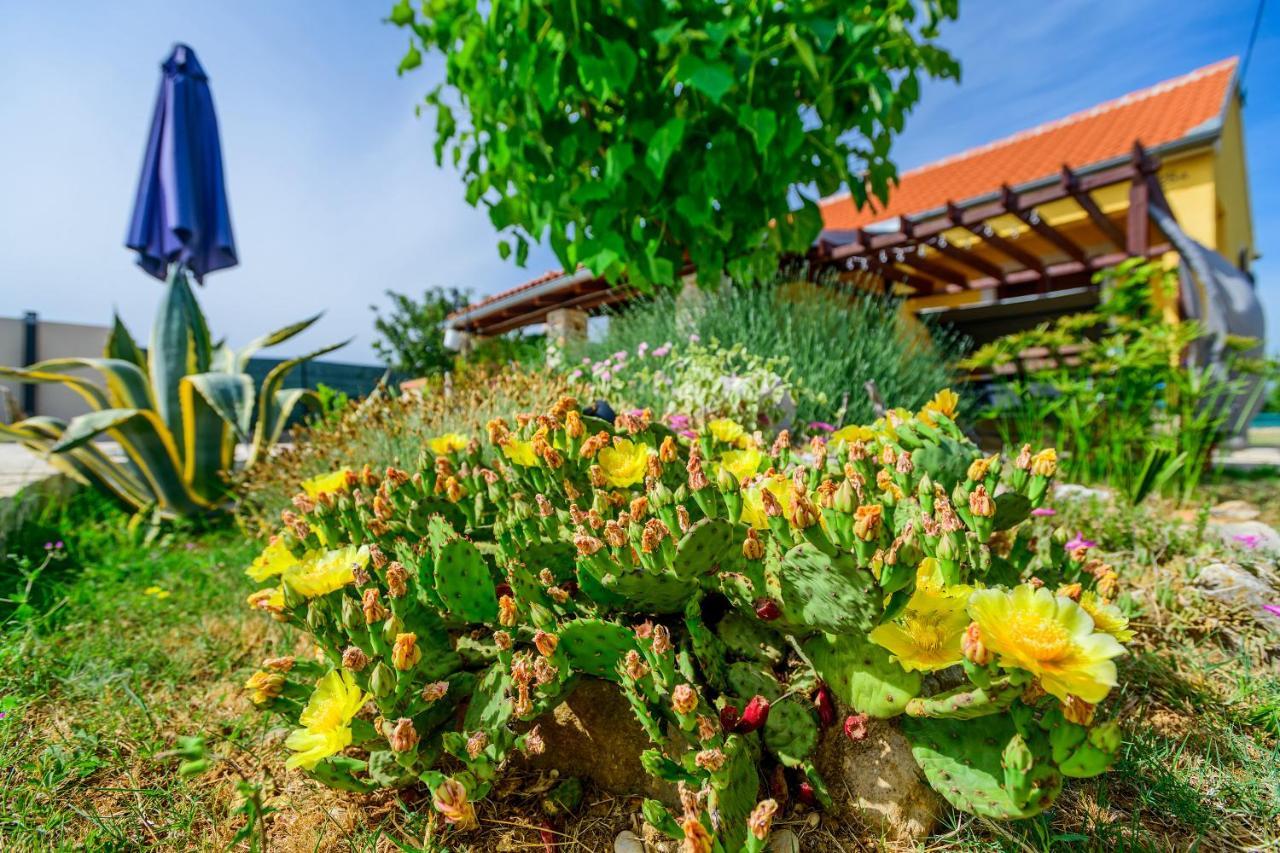 Sunny House Villa Smokovic Bagian luar foto