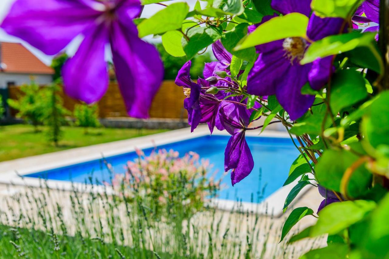 Sunny House Villa Smokovic Bagian luar foto